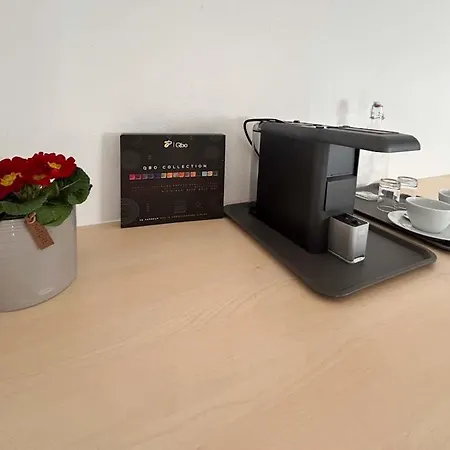 Appartementgitti Lägenhet Hallstatt